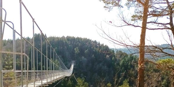 Himalayan footbridge